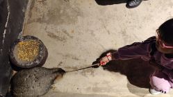 -酷嗒动物文化乐园(cutezoo西溪乐天城店)