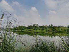 -白鹭湾湿地公园