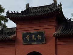 -洛阳白马寺