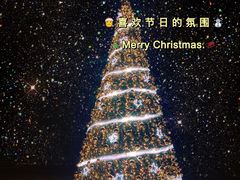 -海南清水湾莱佛士酒店