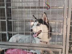 -海底捞火锅(玉桥商业广场店)
