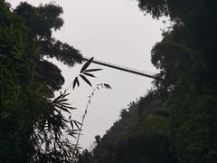 -川西竹海景区