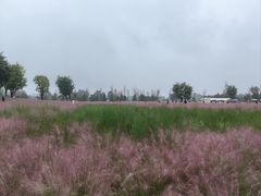 -汉长安城未央宫国家考古遗址公园