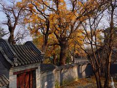 -北京凤凰岭