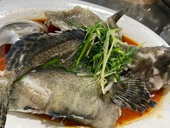 清蒸石斑-蚝专家(北滘店)