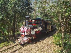 -合肥滨湖国家森林公园