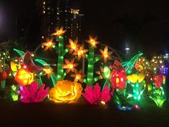 -锦江乐园舞狸花花游园会(夜场专享)