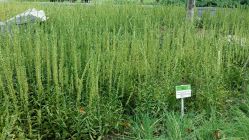 点击看大图 -大望京儿童游乐场