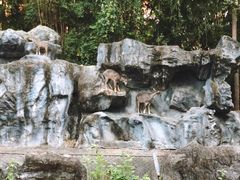 -清迈夜间动物园