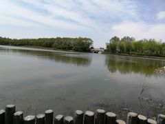 -大兴滨河森林公园