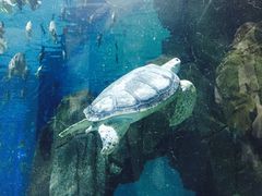 -福州罗源湾海洋世界旅游区