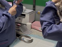 -半岛宠物医院24小时(科华中路店)