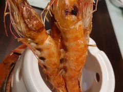 -黑松白鹿(金融街店)