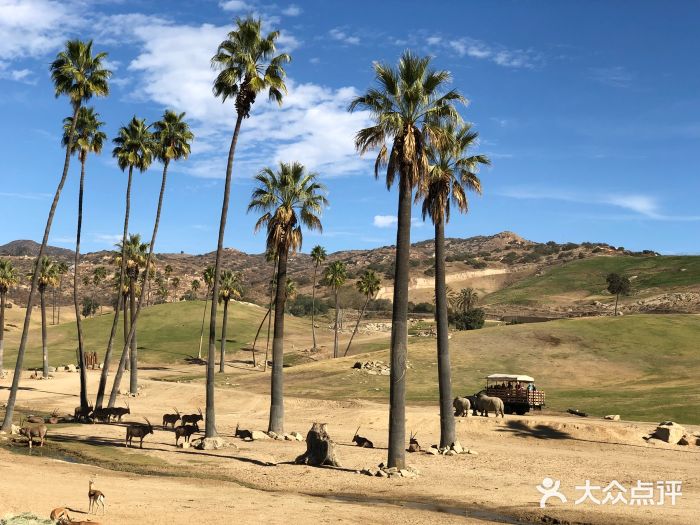 聖地亞哥野生動物園圖片