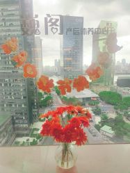 点击看大图 -巍阁高端月子会所