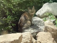 -舜耕山庄四时万和自助餐厅