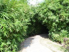 -苏州河梦清园环保主题公园