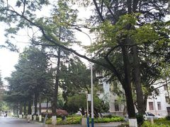 -云南师范大学(一二一西南联大校区)