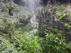 -鹿院坪生态旅游景区