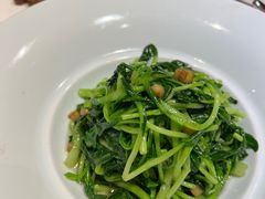 蒜泥鸡毛菜-孔乙己(后海店)