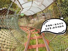 -宁波浙东大竹海景区