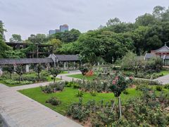 -清湖文化公园