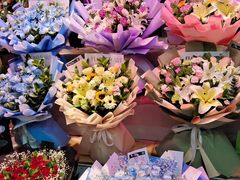 -大自然花鸟鱼虫市场