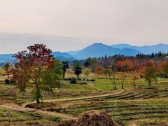 -塔川景区
