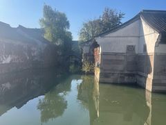 -鲁镇