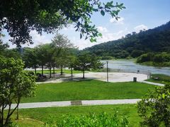 -风云岭森林公园