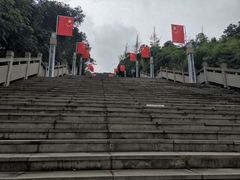 -铁山坪森林公园