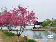 -南北湖风景区