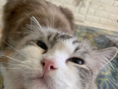 -平行世界·猫咖(首经贸店)