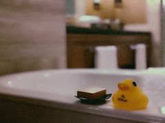 -舟山希尔顿酒店