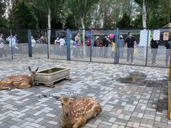 -长白岛森林公园