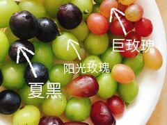 -马陆小张葡萄园农家乐