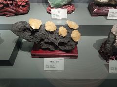 -湖南省地质博物馆