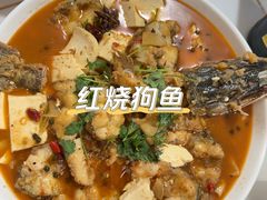 -煲来饱去冷水鱼