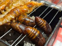 -生火火·小炉子炭烤(金楠天街总店)