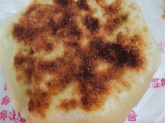 -老码头黑皮肘子锅包肉熏酱水饺(文政街店)