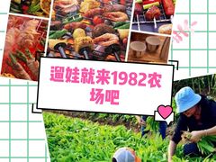 -1982农场