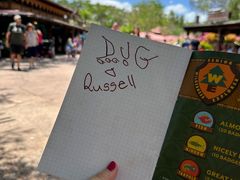 -奥兰多迪士尼动物王国乐园