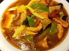 -陈麻婆豆腐总店