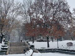 -元大都城垣遗址公园