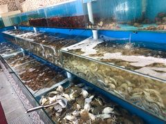 水产区-港畔赶海蒸汽海鲜烧烤自助(仙螺岛店)