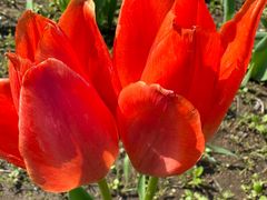 -长春公园(普阳街道)