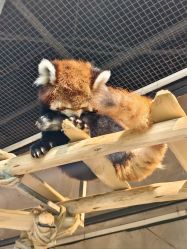 -Zoolung Zoolung动物主题公园(海信广场店)