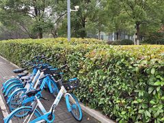 -杭州文化广播电视集团