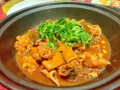 生态甲鱼煲猪脚-四季暖堂·融合江浙菜(N1955创业园店)