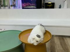 -拜鲁耶动物诊疗中心·宠家动物医院